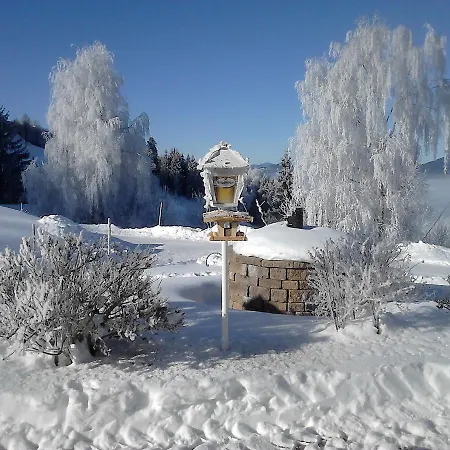 Hotel-pension Asingerhof 3* Schladming