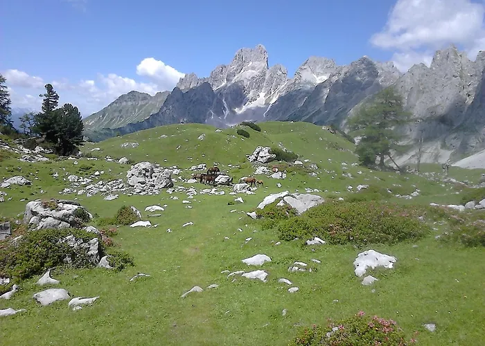 Asingerhof Pensión Schladming